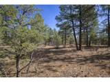  Rancho La Garita Lot 1129 - Photo 23
