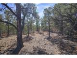  Rancho La Garita Lot 1129 - Photo 3