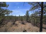  Rancho La Garita Lot 1129 - Photo 6