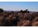 Mesa Verde Trl - Photo 14