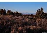 Mesa Verde Trl - Photo 15