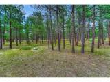 14225 Ponderosa Rd - Photo 19