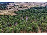 14225 Ponderosa Rd - Photo 48