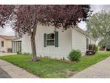 1234 Limestone Ave - Photo 3