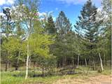 1845 Burland Dr - Photo 1