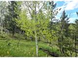1845 Burland Dr - Photo 13