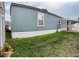 230 2nd St - Photo 10