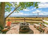 10275 Baneberry Pl - Photo 43