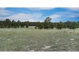 11809 Flap Jack Ln - Photo 10
