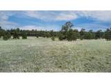 11809 Flap Jack Ln - Photo 12