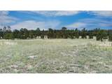 11809 Flap Jack Ln - Photo 13