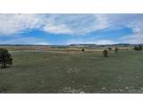 11809 Flap Jack Ln - Photo 8