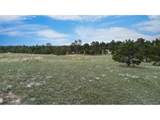 11809 Flap Jack Ln - Photo 9