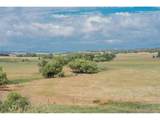 4166 Castlewood Canyon Rd - Photo 44