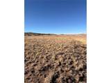 21 Thrush Ln - Photo 10