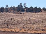 21 Thrush Ln - Photo 12