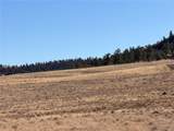 21 Thrush Ln - Photo 14