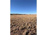 21 Thrush Ln - Photo 9