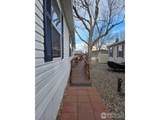 4412 Mulberry St - Photo 21