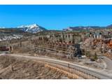 2424 Ryan Gulch Ct - Photo 26