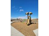 431 35th Ave - Photo 16