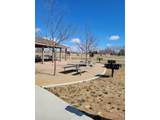 431 35th Ave - Photo 17