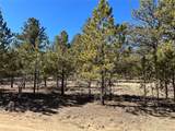 147 Haystack Rd - Photo 16