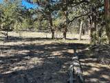 147 Haystack Rd - Photo 9