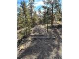 4376 Campfire Rd - Photo 2