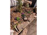 1400 Collyer St - Photo 27