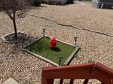 4123 Pinon Ln - Photo 26