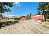 5784 Herzman Dr - Photo 45