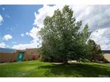 33729 County Road 361 - Photo 26