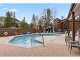 423 Wild Irishman Rd - Photo 21