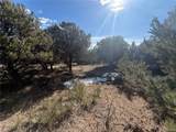 390 Cameron Pass Rd - Photo 2