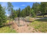 32042 Horseshoe Dr - Photo 43