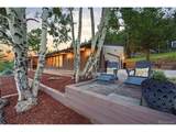32042 Horseshoe Dr - Photo 49