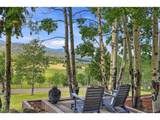 32042 Horseshoe Dr - Photo 7