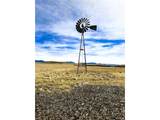 26095 Co Rd 59 - Photo 23