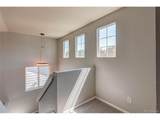 14174 Albatross Dr - Photo 12