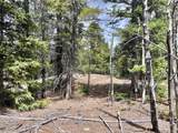 2203 Lakeside Dr - Photo 26