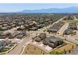 9807 Wolf Lake Dr - Photo 47