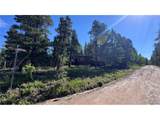 81 High Country Ln - Photo 31