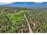81 High Country Ln - Photo 4