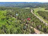 81 High Country Ln - Photo 5
