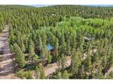 81 High Country Ln - Photo 9