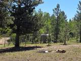 1080 Brahma Cir - Photo 10