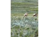 3255 Ranch Rd - Photo 20