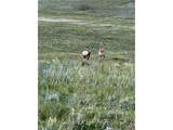 3255 Ranch Rd - Photo 21