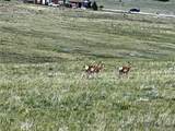 3255 Ranch Rd - Photo 22